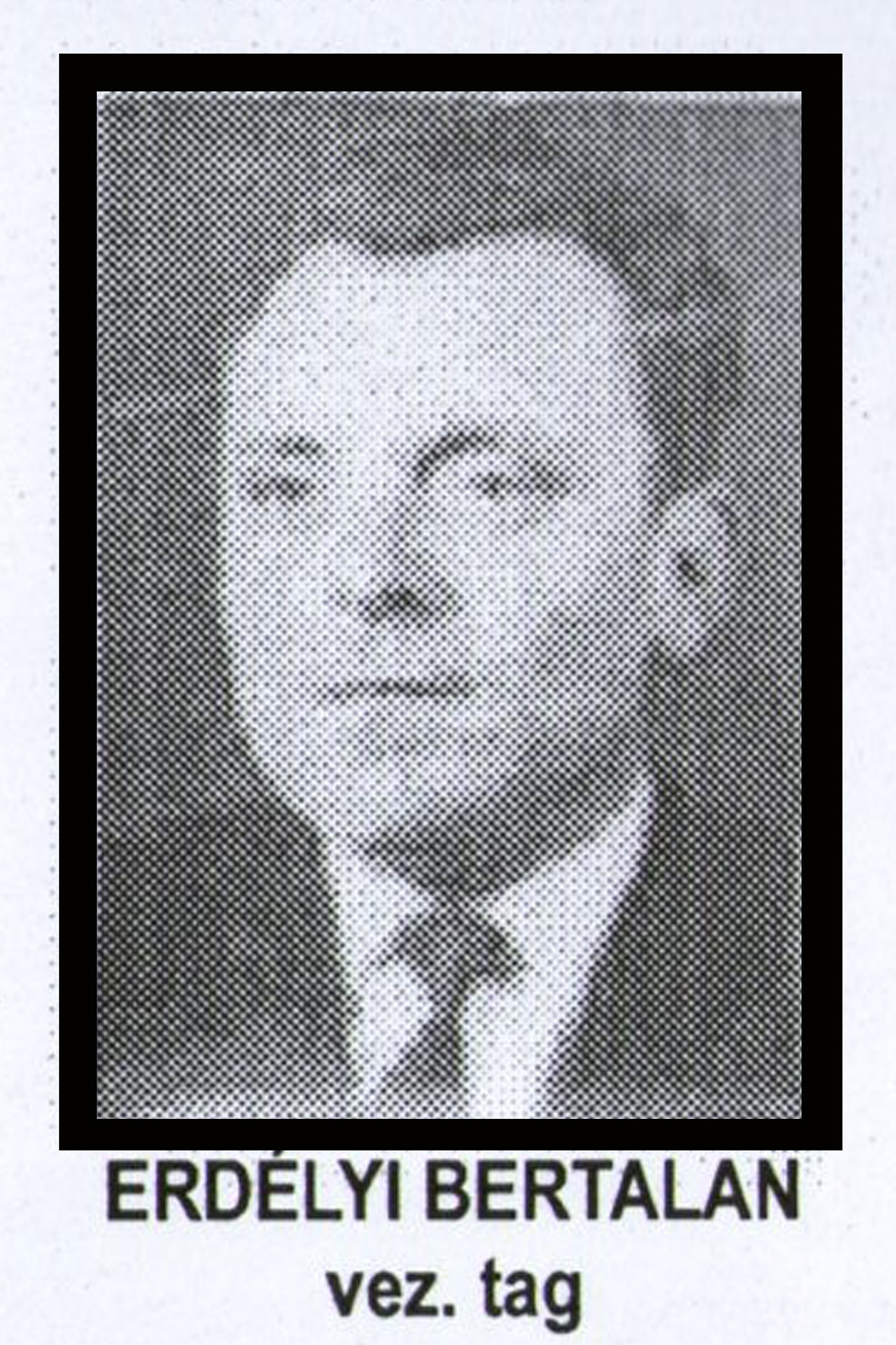 erdelyi_bert