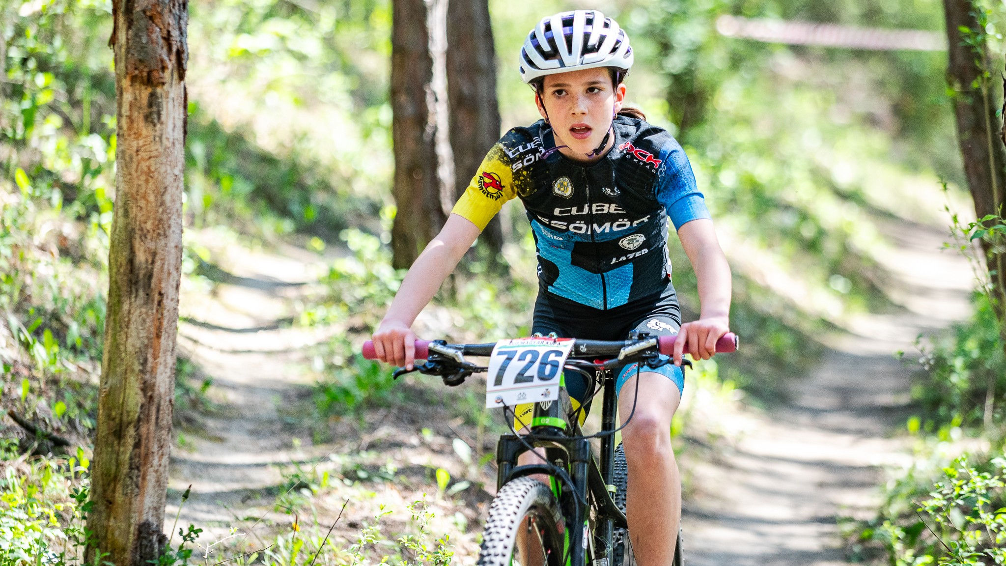 Elrajtolt a Borsod Series