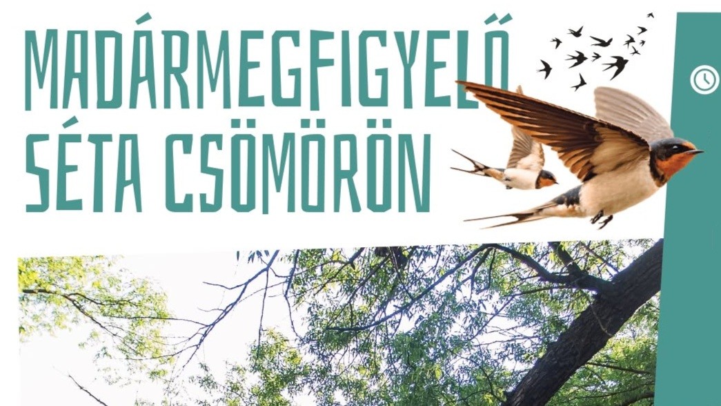 Madármegfigyelő túra Csömörön